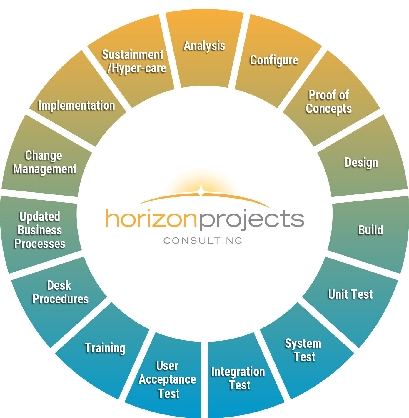 Our project management as a service (PMaaS) process